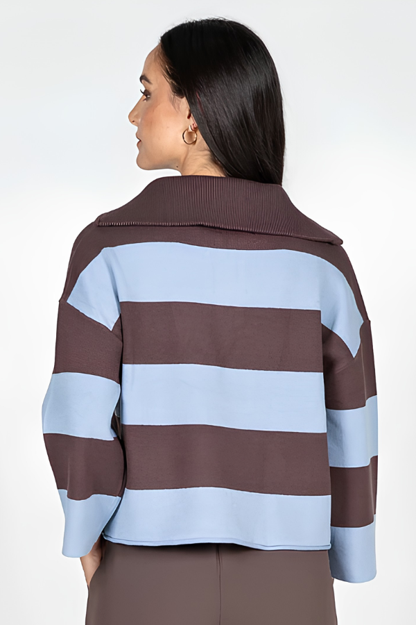 Rugby Style Zip Sweater | Blue-Brown