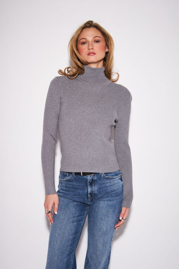Eleanor Ribbed Turtleneck | Grey Owl