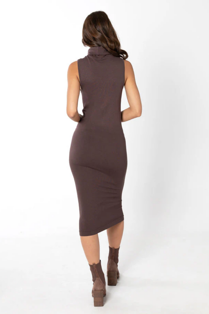 Bamboo Fleece Turtleneck Dress | Coffee