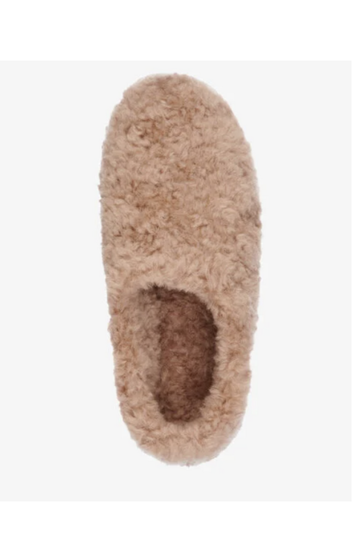 Joy Teddy Slip On | Camel