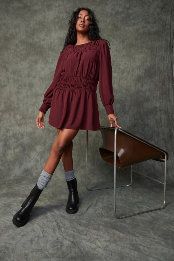 Lorence Shirred Mini Dress | Prune Last XS