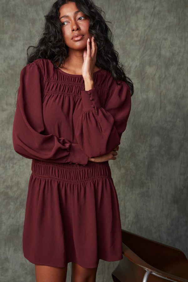 Lorence Shirred Mini Dress | Prune Last XS