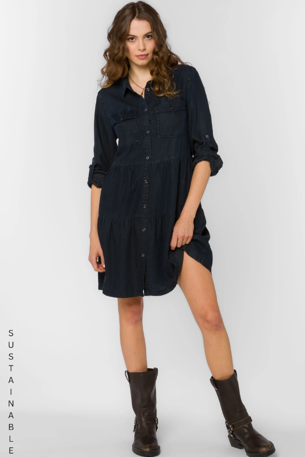 Bree Overdye Indigo Dress