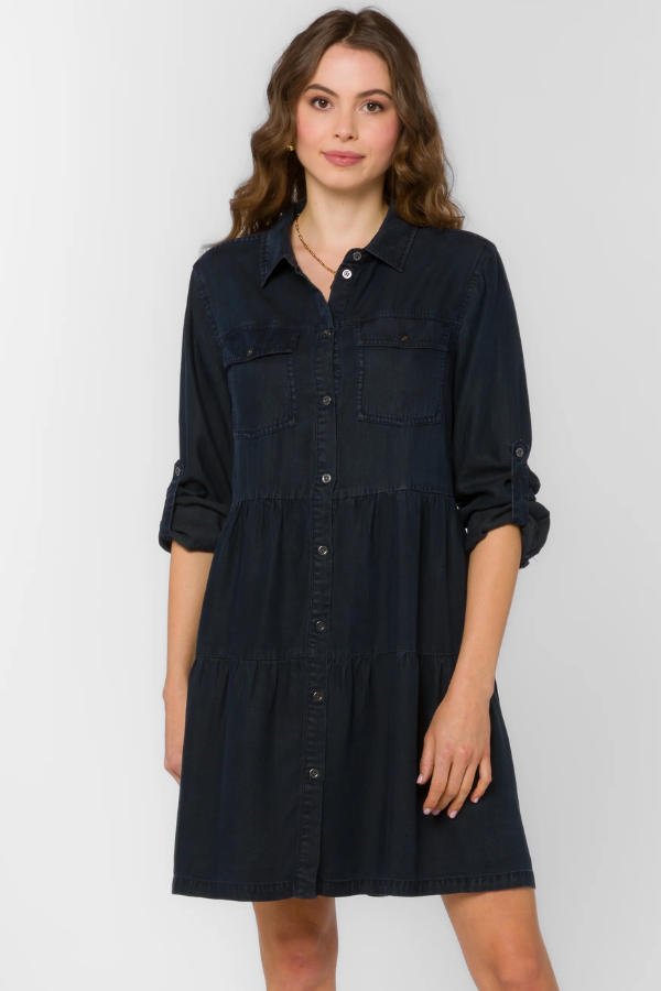 Bree Overdye Indigo Dress