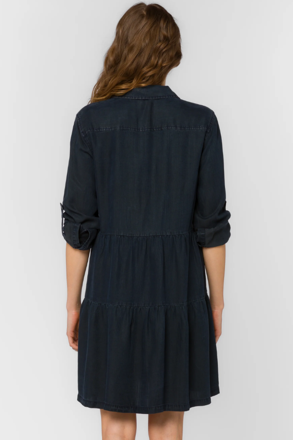 Bree Overdye Indigo Dress
