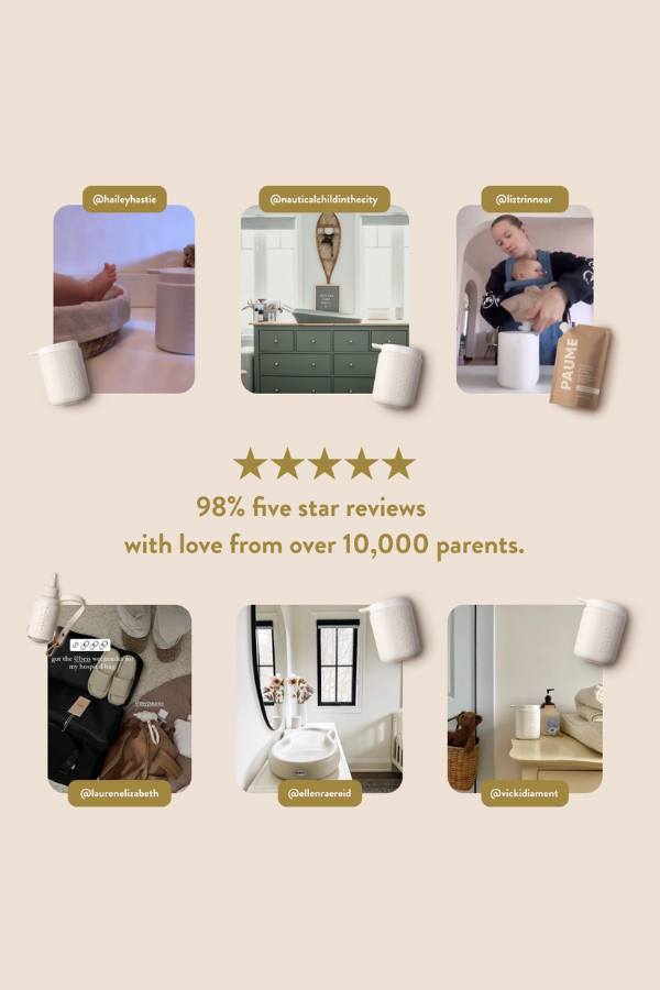 The Voyager Wipes Case