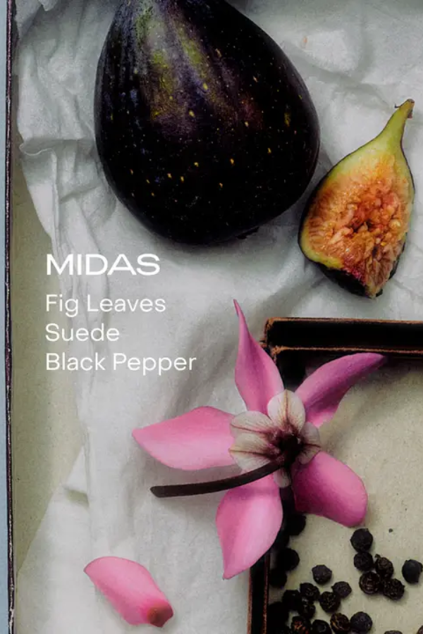 The Body Mist | Midas