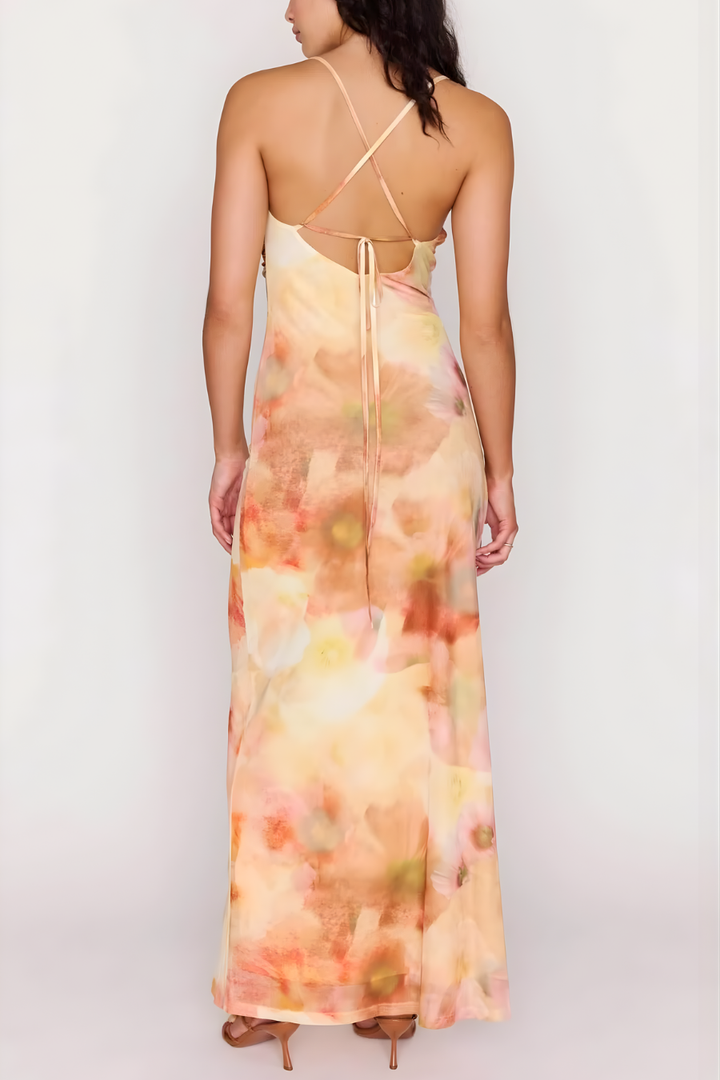 Aria Sunset Tonal Mesh Maxi Dress