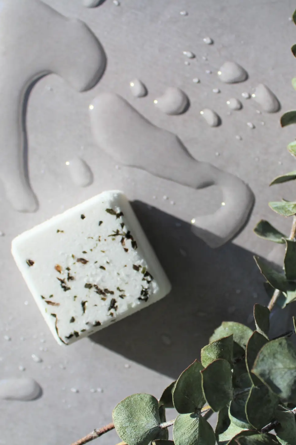 Eucalyptus | Single Shower Steamer