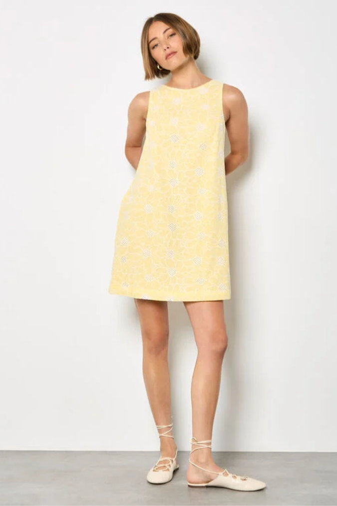 Floral Embroidered Shift Mini Dress