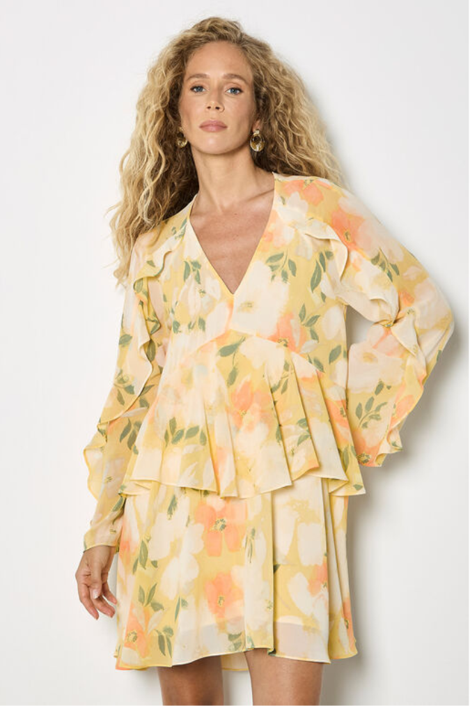 Floral Chiffon Ruffle Mini Dress