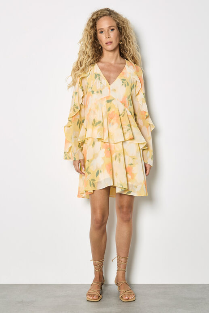 Floral Chiffon Ruffle Mini Dress