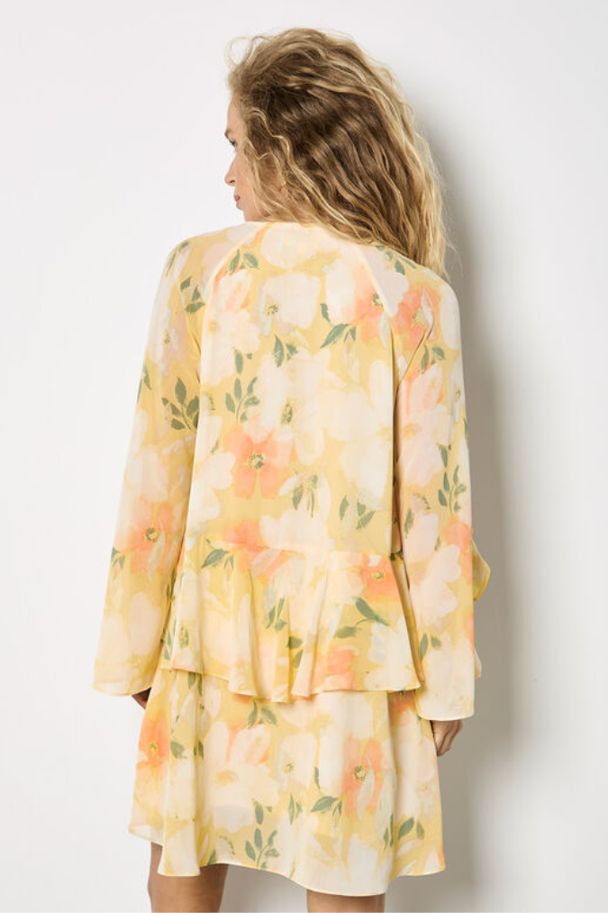 Floral Chiffon Ruffle Mini Dress