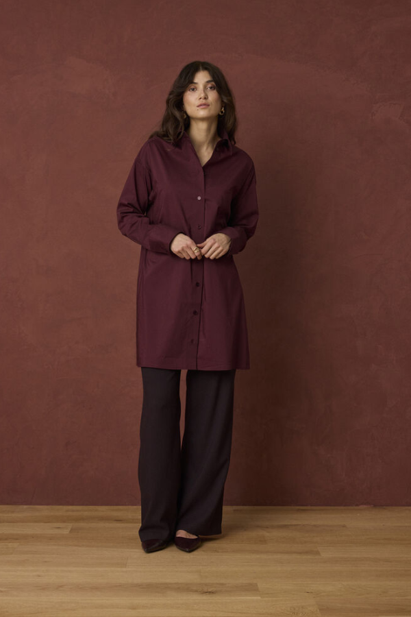 Cleo Shirtdress