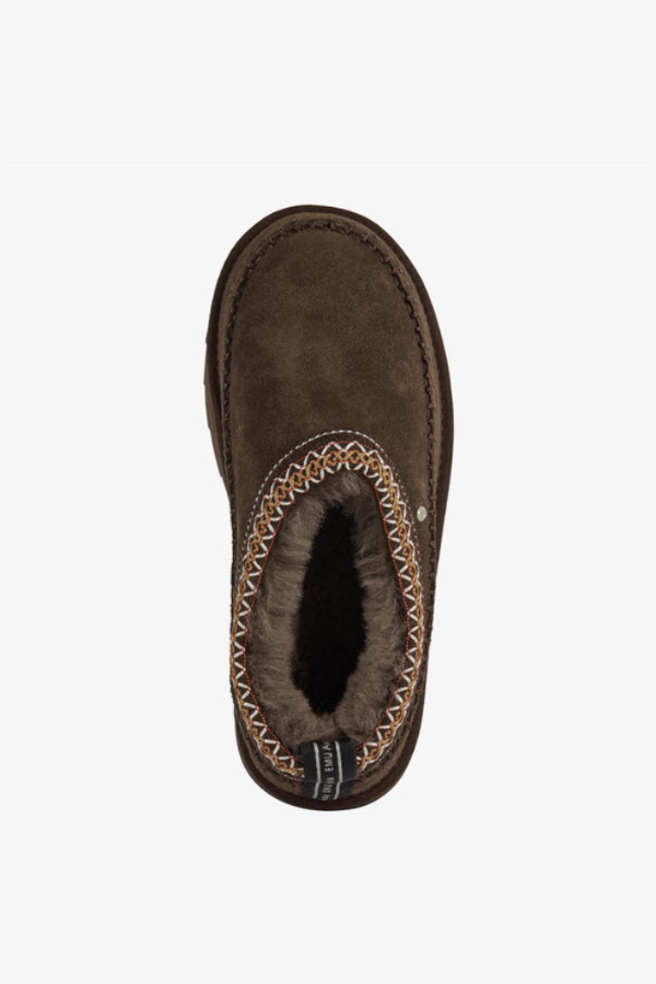 Sharky Adventure Scuff | Chocolate